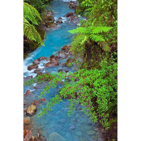 Small stream or creek-Costa Rica White Modern Wood Framed Art Print by Jones, Adam