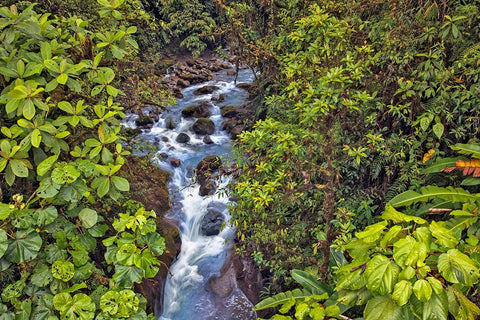 Small stream or creek-Costa Rica White Modern Wood Framed Art Print with Double Matting by Jones, Adam