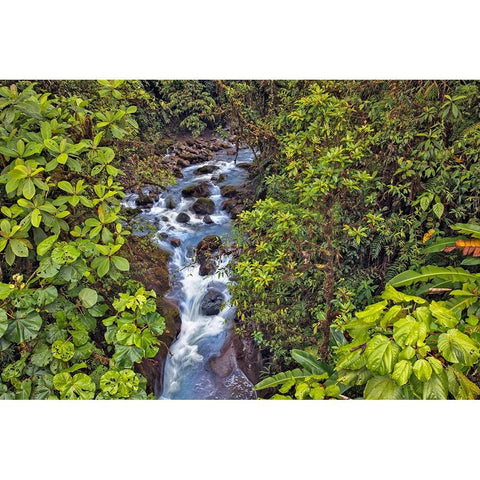 Small stream or creek-Costa Rica Gold Ornate Wood Framed Art Print with Double Matting by Jones, Adam