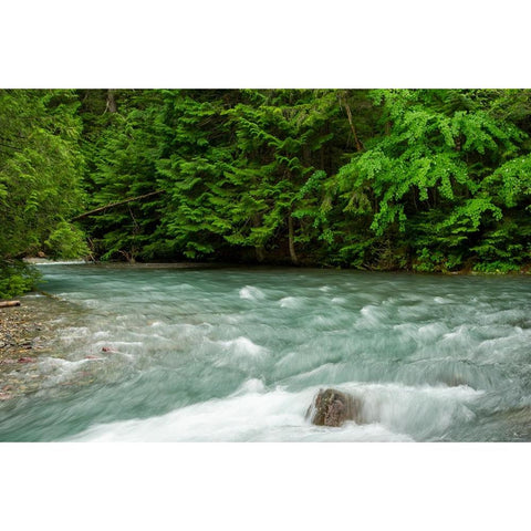 Costa Rica blue river White Modern Wood Framed Art Print by Theodore, George and Marilu