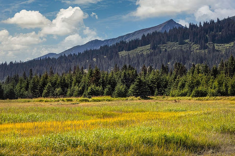 Meadow and mountains at Silver Salmon Creek-Lake Clark National Park and Preserve-Alaska White Modern Wood Framed Art Print with Double Matting by Jones, Adam