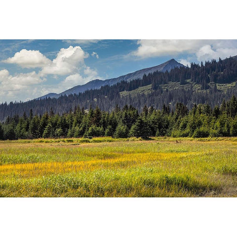 Meadow and mountains at Silver Salmon Creek-Lake Clark National Park and Preserve-Alaska Black Modern Wood Framed Art Print with Double Matting by Jones, Adam