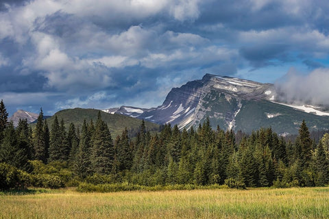 Meadow and mountains at Silver Salmon Creek-Lake Clark National Park and Preserve-Alaska White Modern Wood Framed Art Print with Double Matting by Jones, Adam