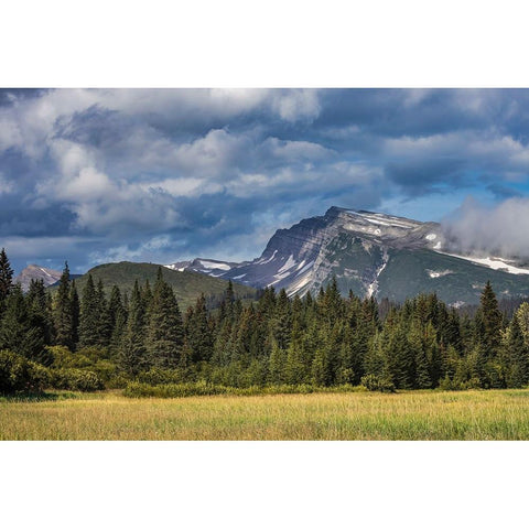 Meadow and mountains at Silver Salmon Creek-Lake Clark National Park and Preserve-Alaska Black Modern Wood Framed Art Print by Jones, Adam