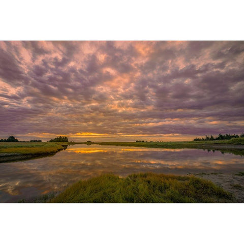 Sunrise on slough of Silver Salmon Creek-Lake Clark National Park and Preserve-Alaska Gold Ornate Wood Framed Art Print with Double Matting by Jones, Adam
