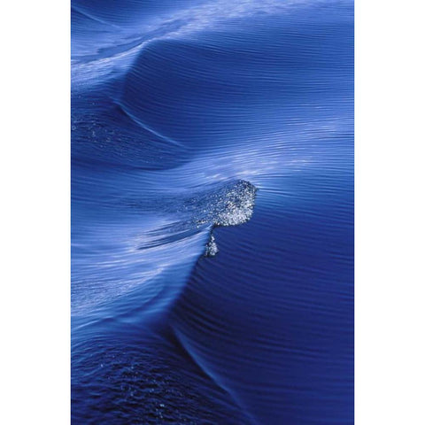 AK, Inside Passage, Pattern from wake behind boat Black Modern Wood Framed Art Print by Rotenberg, Nancy