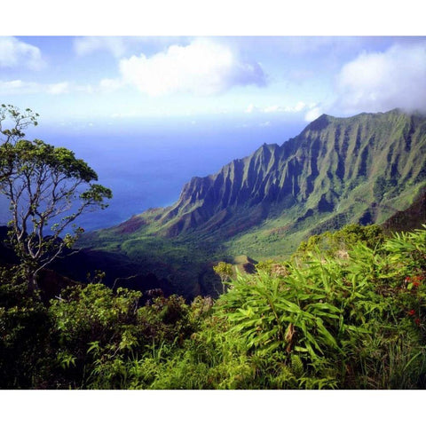 USA, Kauai, Hawaii View above the Na Pali Coast Black Modern Wood Framed Art Print by Talbot Frank, Christopher