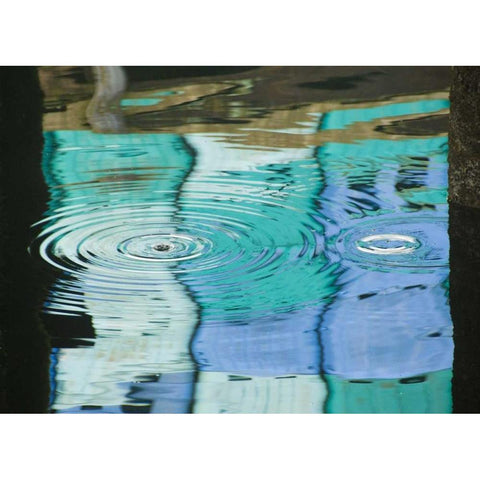 AK, Petersburg Reflections of harbor buildings White Modern Wood Framed Art Print by Rotenberg, Nancy