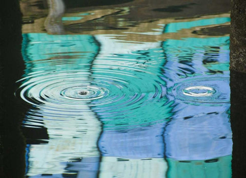 AK, Petersburg Reflections of harbor buildings Black Ornate Wood Framed Art Print with Double Matting by Rotenberg, Nancy