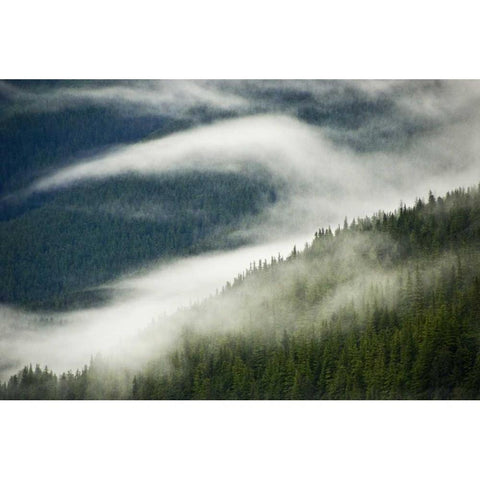 AK, Inside Passage Fog pattern over a mountain Black Modern Wood Framed Art Print by Rotenberg, Nancy