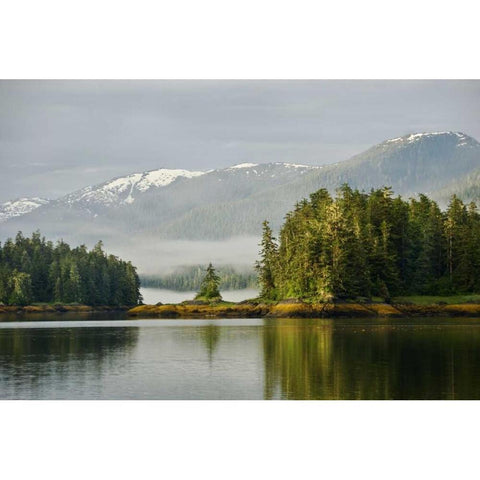 Alaska, Inside Passage Foggy forest and Mountain Black Modern Wood Framed Art Print with Double Matting by Rotenberg, Nancy