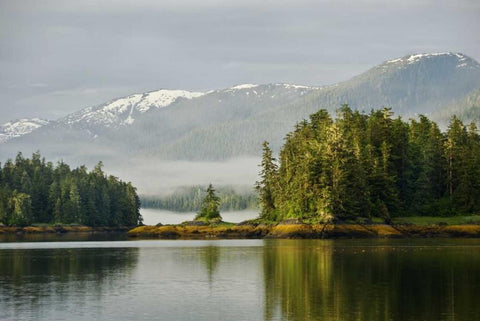 Alaska, Inside Passage Foggy forest and Mountain Black Ornate Wood Framed Art Print with Double Matting by Rotenberg, Nancy