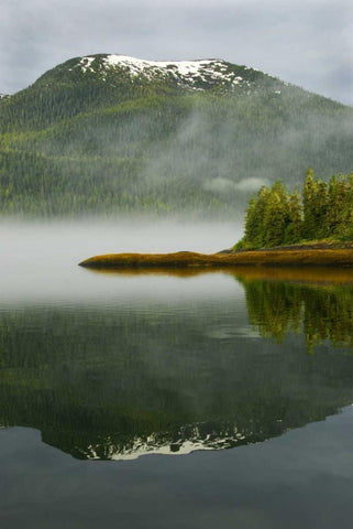 Alaska, Inside Passage Foggy forest and Mountain White Modern Wood Framed Art Print with Double Matting by Rotenberg, Nancy