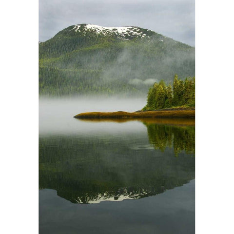 Alaska, Inside Passage Foggy forest and Mountain Black Modern Wood Framed Art Print by Rotenberg, Nancy