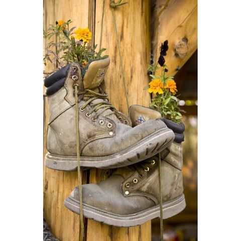 AK, Talkeetna Hiking boots planted with flowers Black Modern Wood Framed Art Print by Kaveney, Wendy