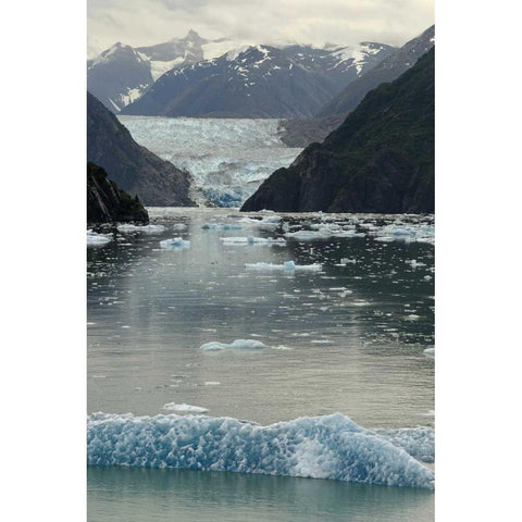 Alaska, Tracey Arm View of South Sawyer Glacier Black Modern Wood Framed Art Print by Ross, Nancy ,  Steve
