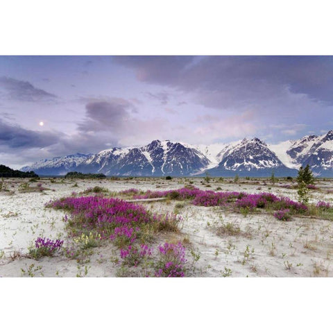 Alaska View of flowers and Fairweather Range Gold Ornate Wood Framed Art Print with Double Matting by Paulson, Don