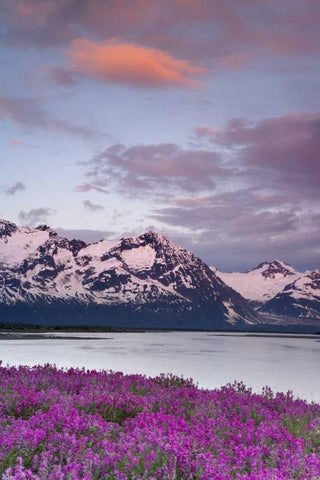 AK, Alsek River and Fairweather Range at sunset White Modern Wood Framed Art Print with Double Matting by Paulson, Don