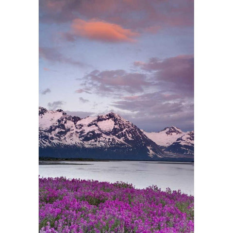 AK, Alsek River and Fairweather Range at sunset White Modern Wood Framed Art Print by Paulson, Don
