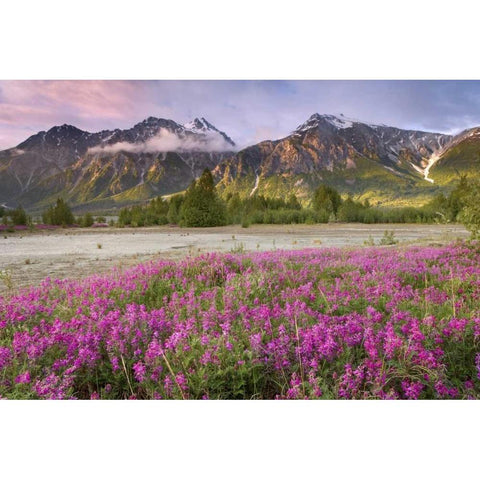 Alaska View of flowers and Fairweather Range Black Modern Wood Framed Art Print with Double Matting by Paulson, Don