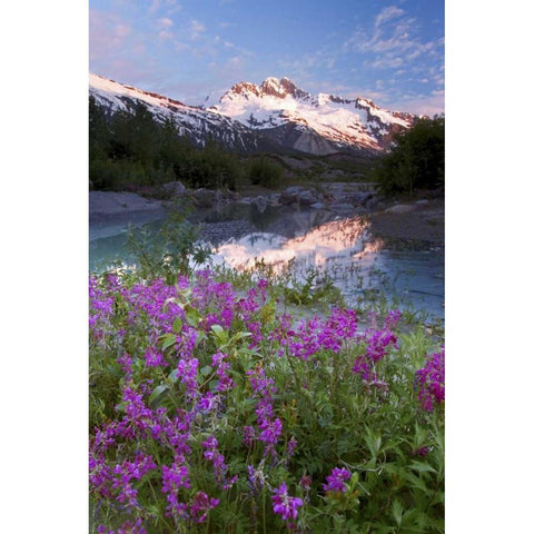 AK, Alsek-Tatshenshini Mountain landscape White Modern Wood Framed Art Print by Paulson, Don