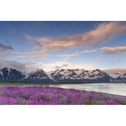 AK, Alsek-Tatshenshini Mountain scenic at sunset Black Modern Wood Framed Art Print by Paulson, Don