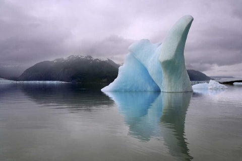 Alaska, Alsek River Valley Iceberg on Alsek Lake Black Ornate Wood Framed Art Print with Double Matting by Paulson, Don