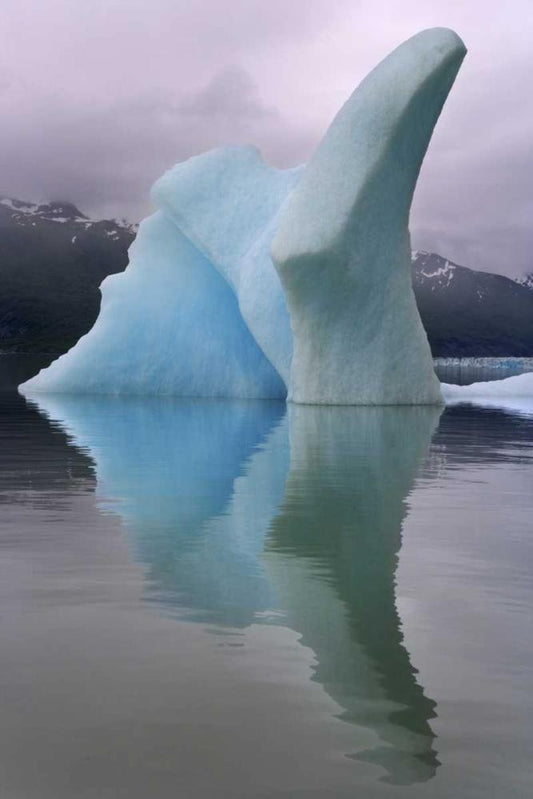 Image Only