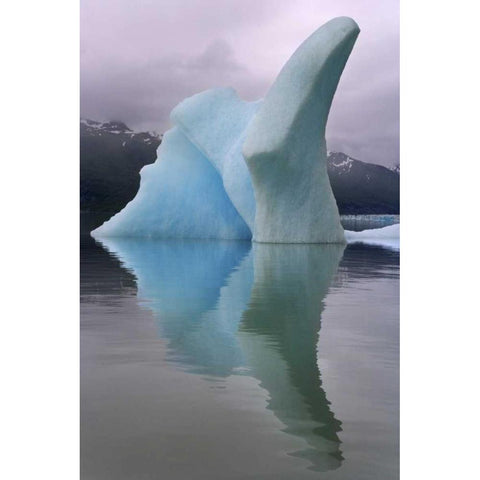 Alaska, Alsek River Valley Iceberg on Alsek Lake Black Modern Wood Framed Art Print with Double Matting by Paulson, Don