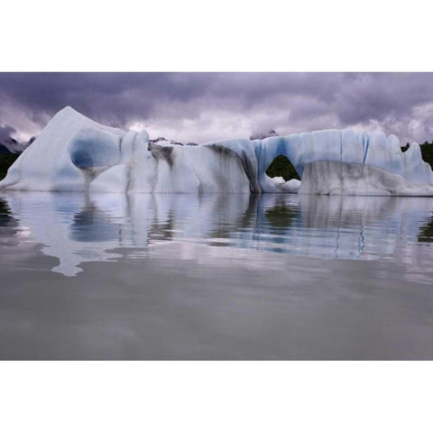 Alaska, Alsek River Valley Iceberg on Alsek Lake Black Modern Wood Framed Art Print by Paulson, Don