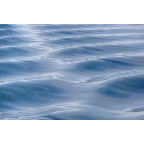 USA, Alaska Detail of boat wake Black Modern Wood Framed Art Print with Double Matting by Paulson, Don