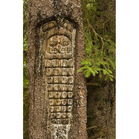 AK, Glacier Bay NP Tree carving of totem Black Modern Wood Framed Art Print by Paulson, Don