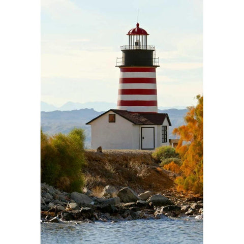 AZ, Lake Havasu City West Quoddy Lighthouse Black Modern Wood Framed Art Print by Lord, Fred