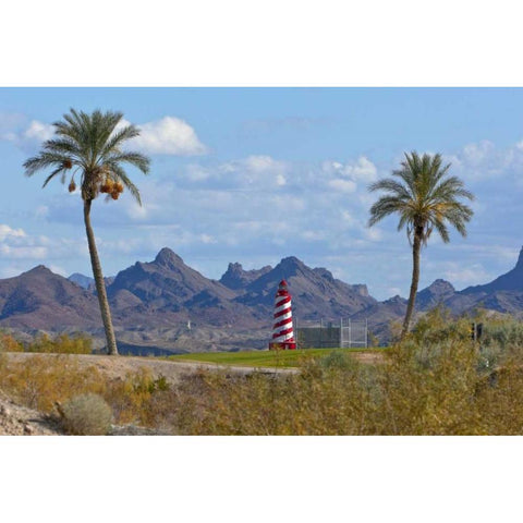 AZ, Lake Havasu City Lighthouse by golf course Black Modern Wood Framed Art Print by Lord, Fred