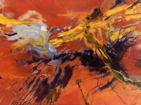 USA, Arizona Close-up of petrified wood White Modern Wood Framed Art Print with Double Matting by Kirkland, Dennis