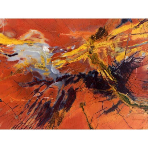 USA, Arizona Close-up of petrified wood Black Modern Wood Framed Art Print with Double Matting by Kirkland, Dennis