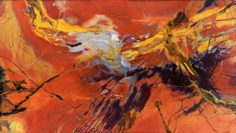 USA, Arizona Close-up of petrified wood White Modern Wood Framed Art Print with Double Matting by Kirkland, Dennis