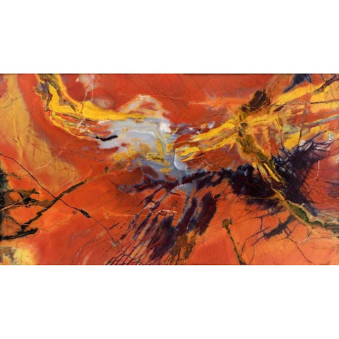 USA, Arizona Close-up of petrified wood Black Modern Wood Framed Art Print by Kirkland, Dennis