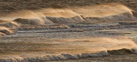 AK, Kachemak Bay Breaking waves at sunset Black Ornate Wood Framed Art Print with Double Matting by Grall, Don