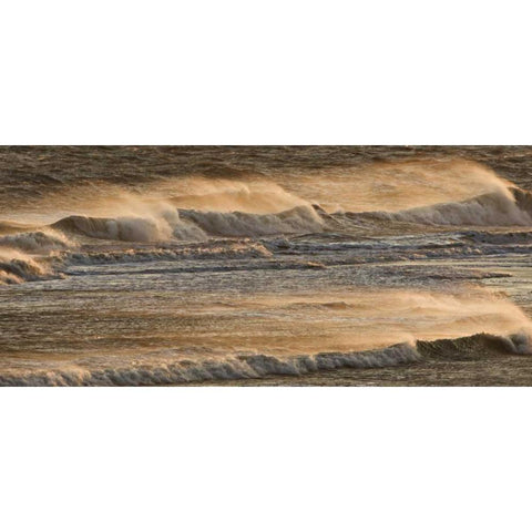 AK, Kachemak Bay Breaking waves at sunset Gold Ornate Wood Framed Art Print with Double Matting by Grall, Don