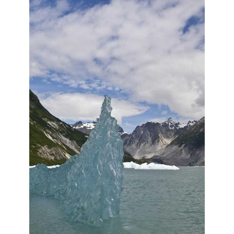 AK, Glacier Bay NP Floating iceberg White Modern Wood Framed Art Print by Paulson, Don