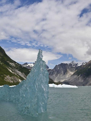 AK, Glacier Bay NP Floating iceberg Black Ornate Wood Framed Art Print with Double Matting by Paulson, Don