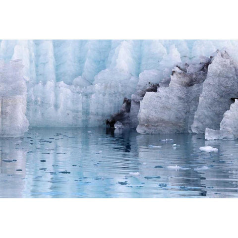 Alaska, Glacier Bay NP Margerie Glacier Black Modern Wood Framed Art Print with Double Matting by Paulson, Don