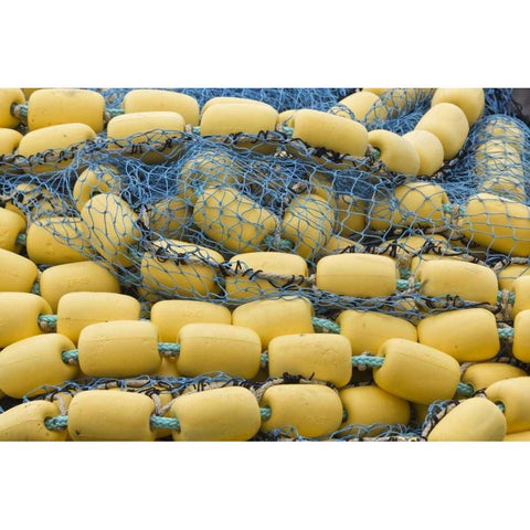 Alaska, Hoonah Commercial fishing net and floats Black Modern Wood Framed Art Print with Double Matting by Paulson, Don