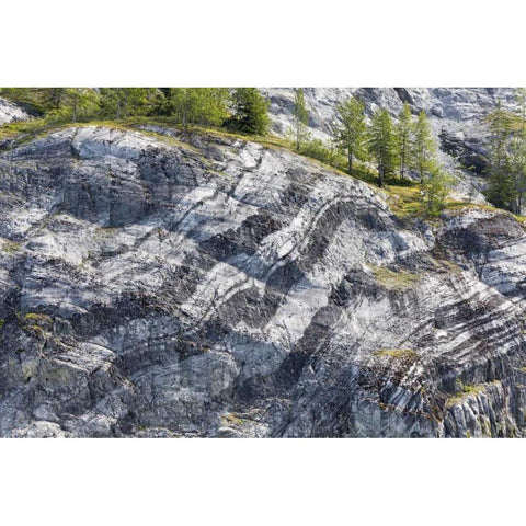 AK, Glacier Bay NP Striated rock on Gloomy Knob Black Modern Wood Framed Art Print with Double Matting by Paulson, Don