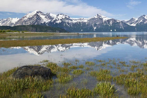 AK, Glacier Bay NP Mountains reflection Black Ornate Wood Framed Art Print with Double Matting by Paulson, Don