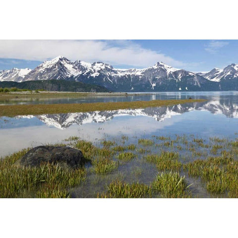 AK, Glacier Bay NP Mountains reflection Gold Ornate Wood Framed Art Print with Double Matting by Paulson, Don