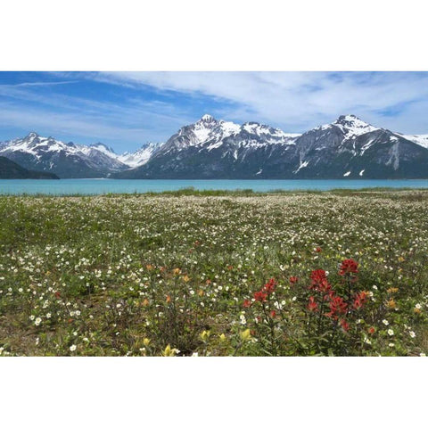 AK, Glacier Bay NP Strawberry and red paintbrush Black Modern Wood Framed Art Print by Paulson, Don