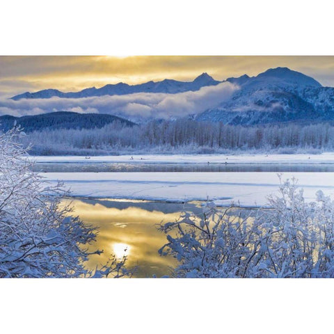 AK, Chilkat Snowy scenic along the Chilkat River Black Modern Wood Framed Art Print by Illg, Cathy and Gordon
