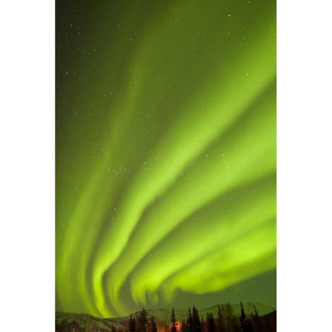 AK, Fairbanks Aurora borealis fill the night sky Black Modern Wood Framed Art Print by Illg, Cathy and Gordon